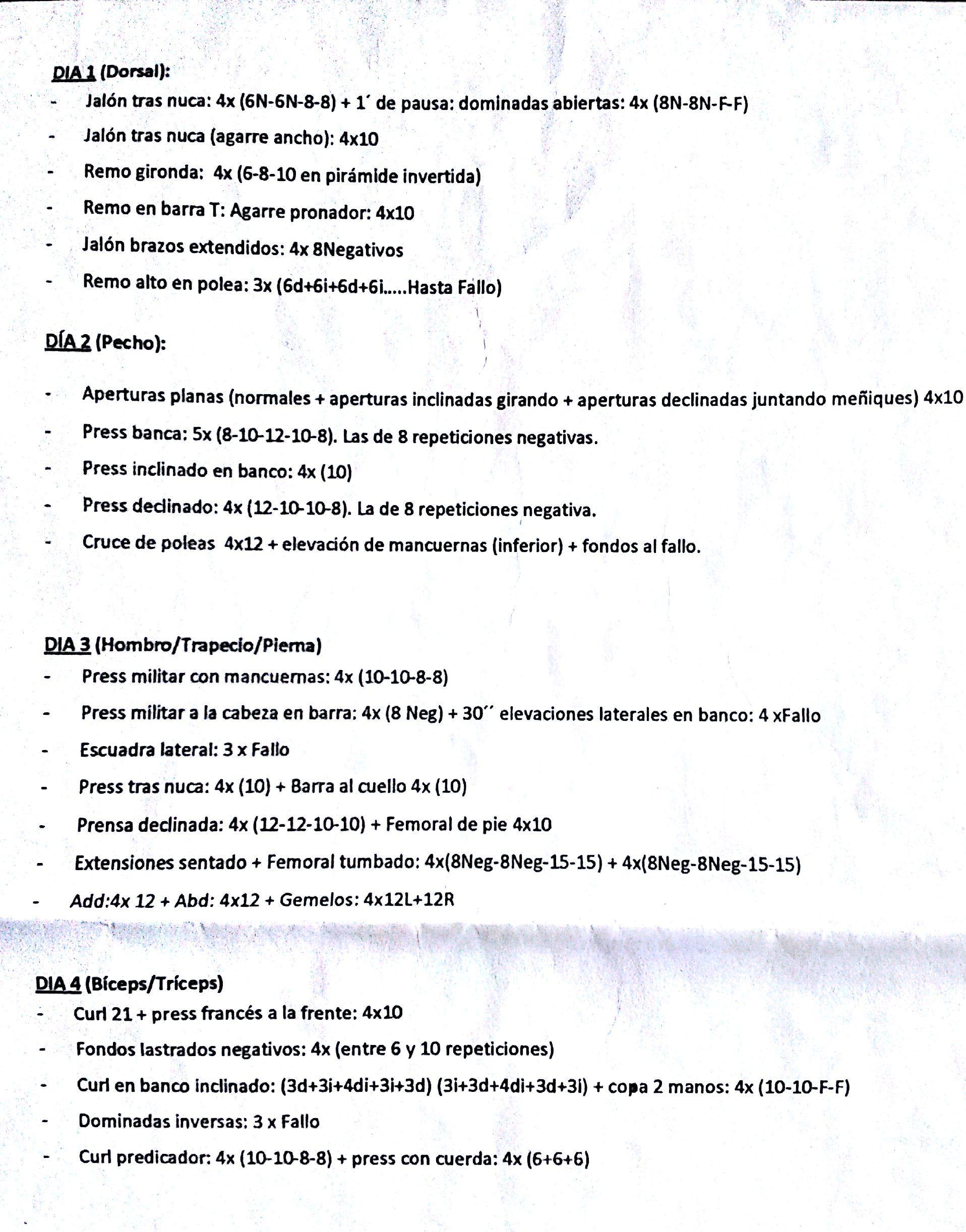 Ejercicios para el gym