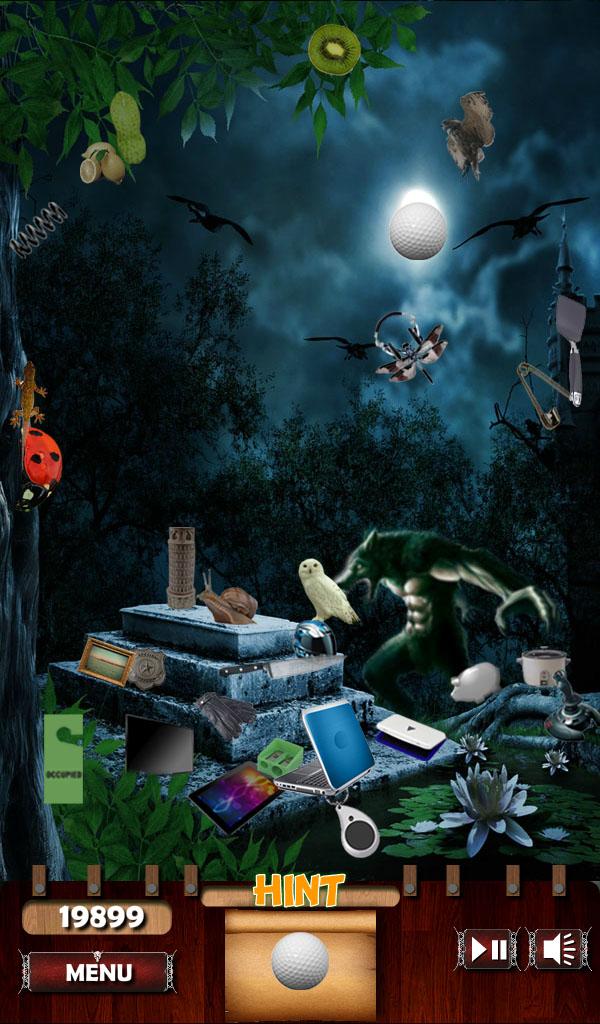 Hidden Object - Dark Woods