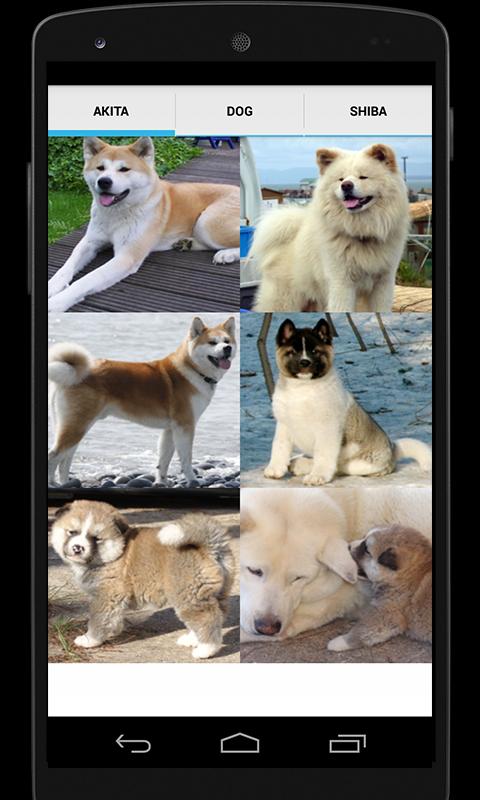 Akita Dog Sounds