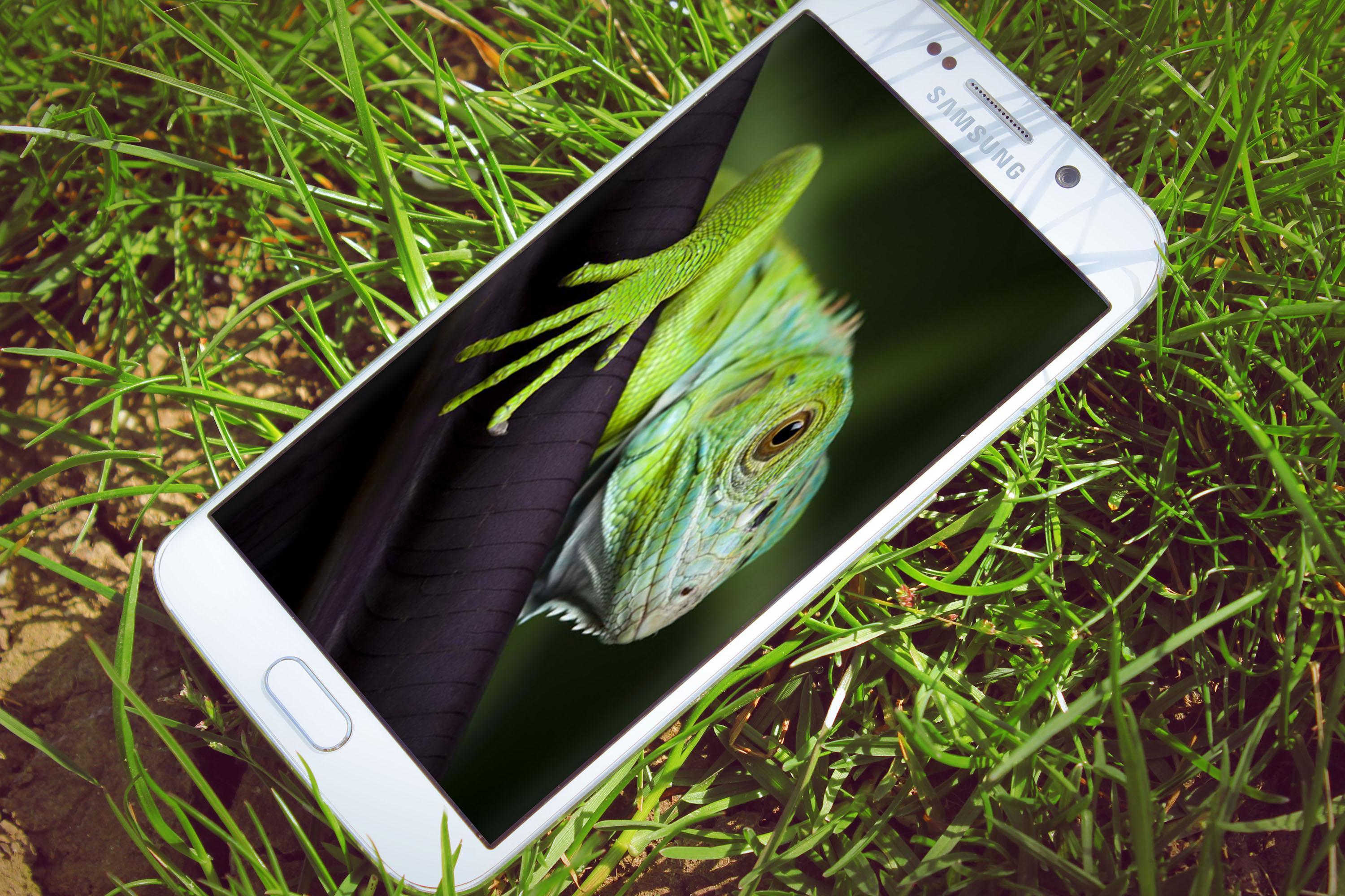 LIZARD ON PHONE (funny app)