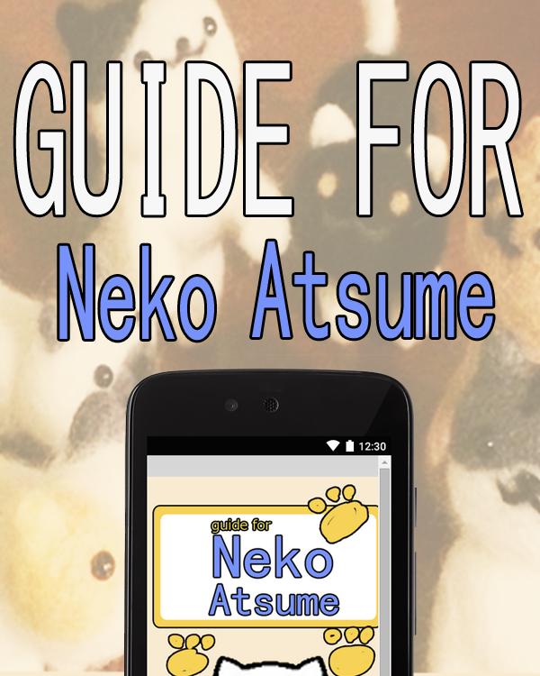 guide for neko atsume