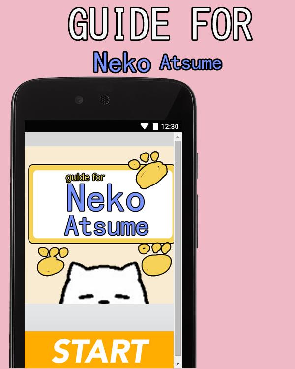 guide for neko atsume