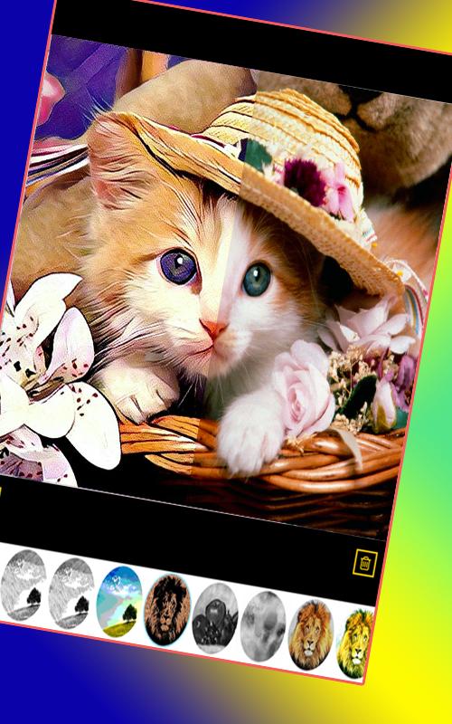 Selfie Prisma for B612 Filter