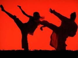 Martial Arts Training