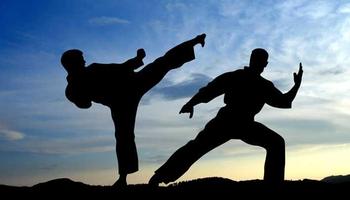 Martial Arts Training