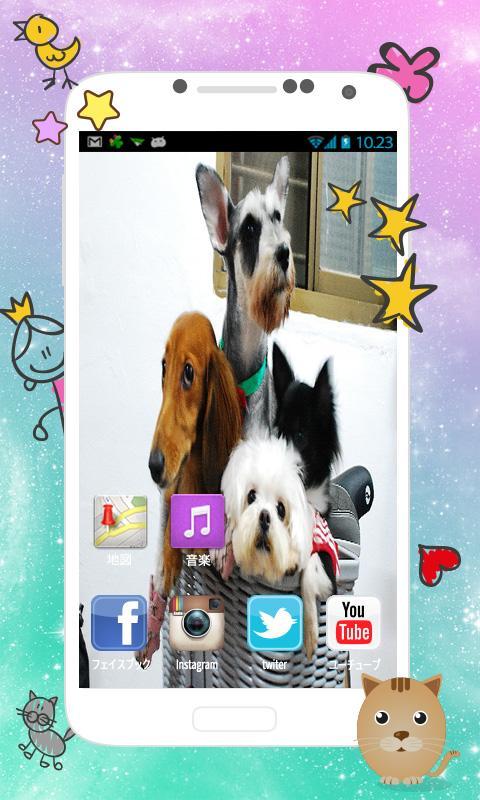 Cute Maltese wallpaper 2015