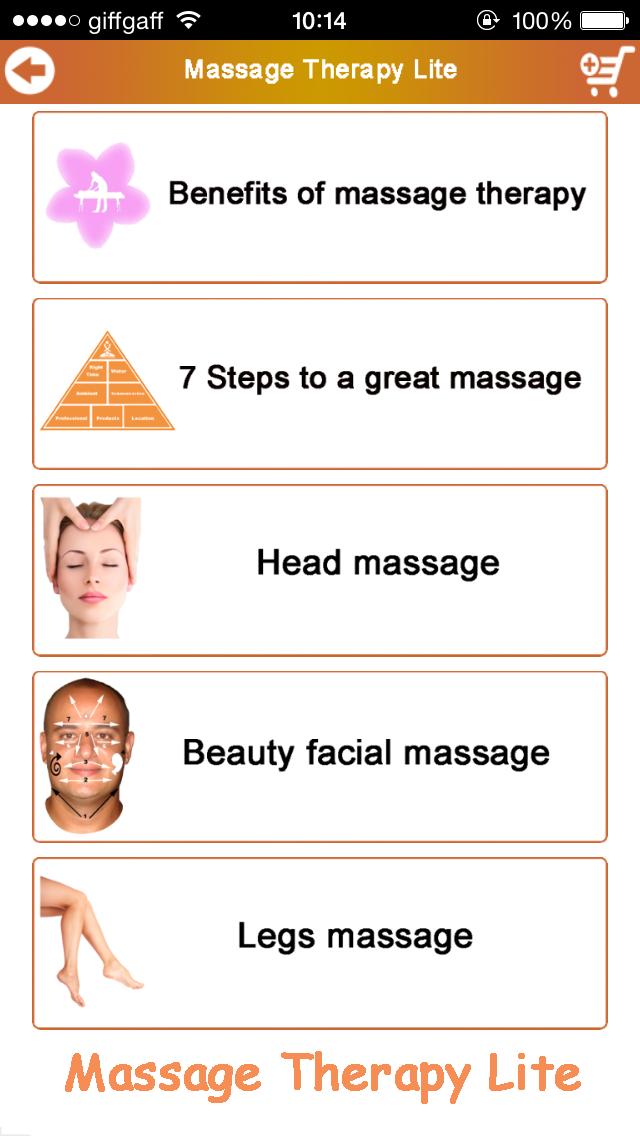 Massage Therapy Lite