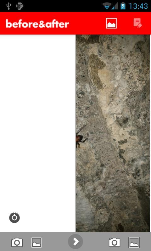 Before & After - Photo Merger