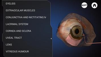 Ophthalmology in Dogs (Free)