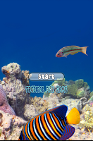 Tropical Fish Game