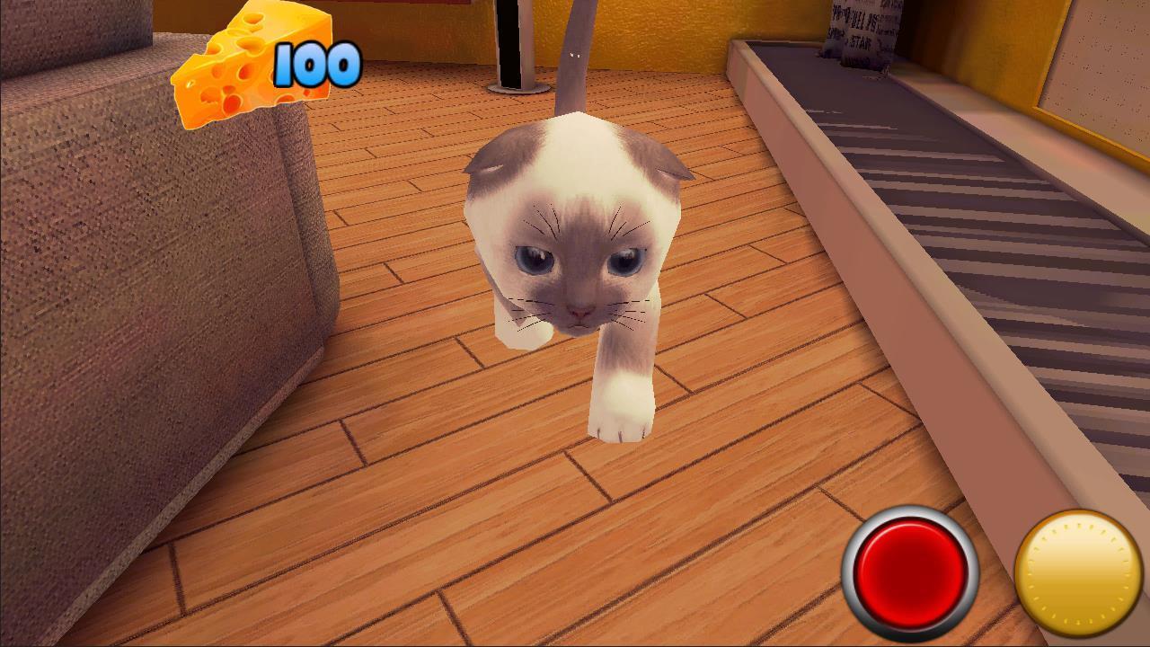 The Cat and the Mouse