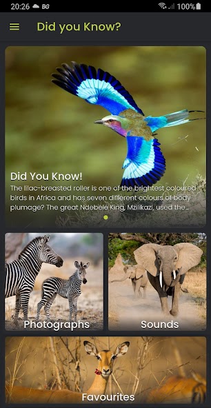 Did you know: African Wildlife