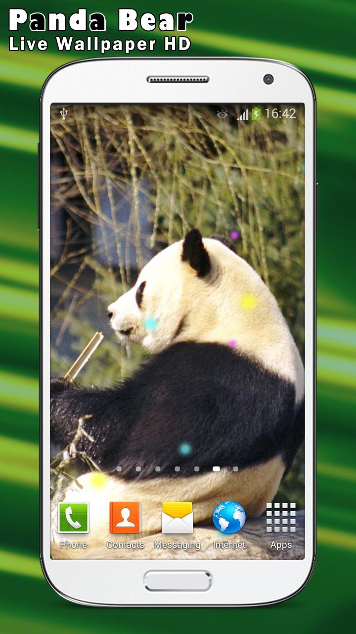Panda Bear Live Wallpaper HD
