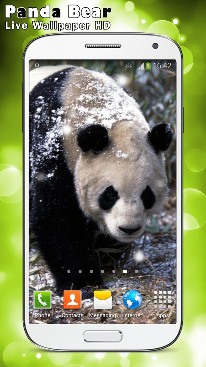 Panda Bear Live Wallpaper HD