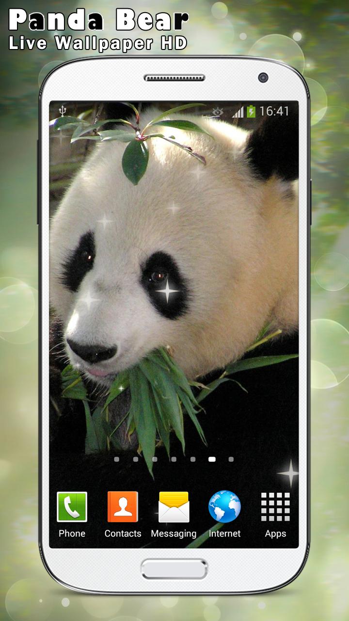 Panda Bear Live Wallpaper HD