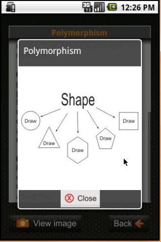 OOPS Concepts And Interview