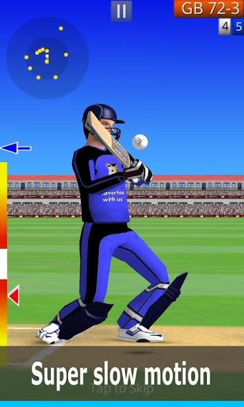 Smashing Cricket