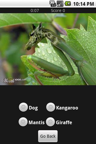 Hy-breed:Animals Mix (free)