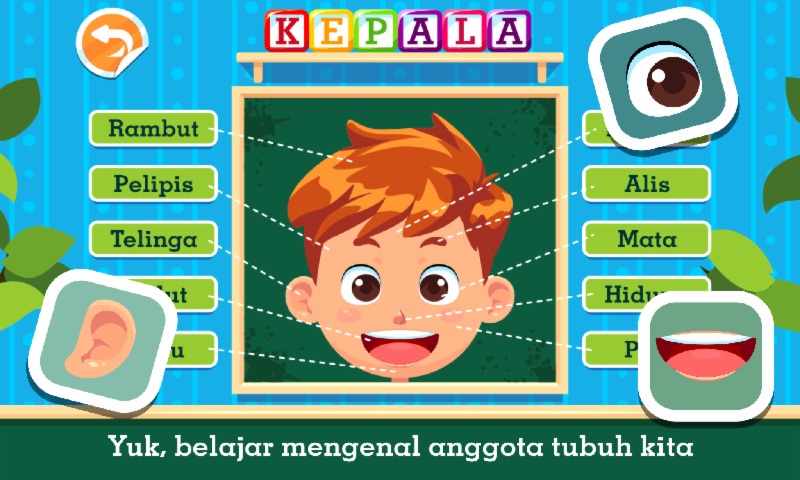 Marbel Belajar Bagian Tubuh