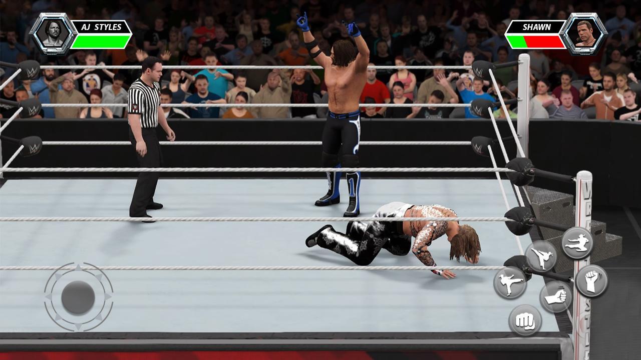 Dream Wrestling World Championship: Wrestling Game