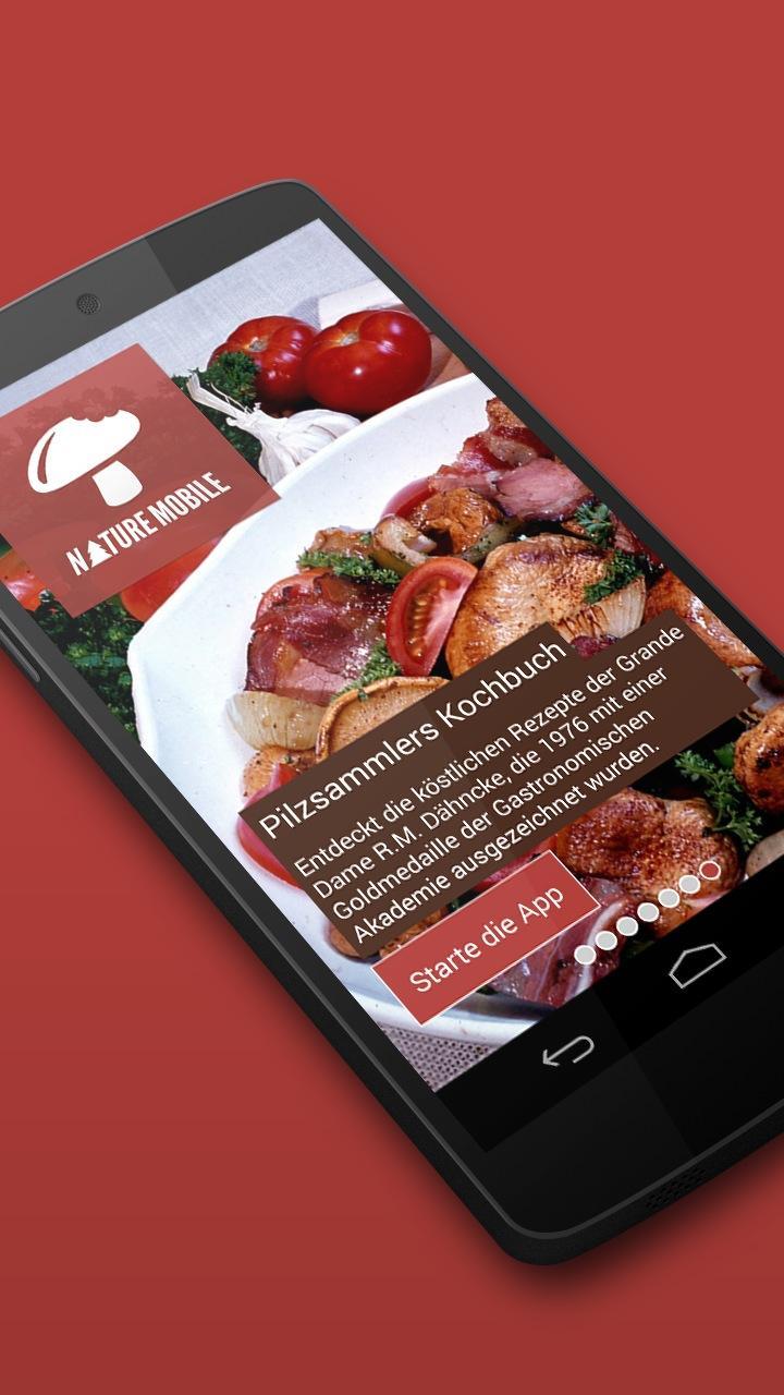 Pilze sammeln & bestimmen LITE