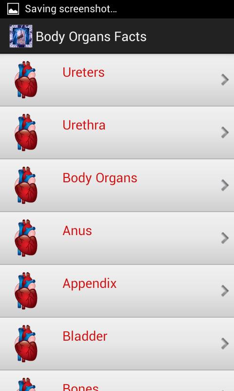 Body Organs Facts