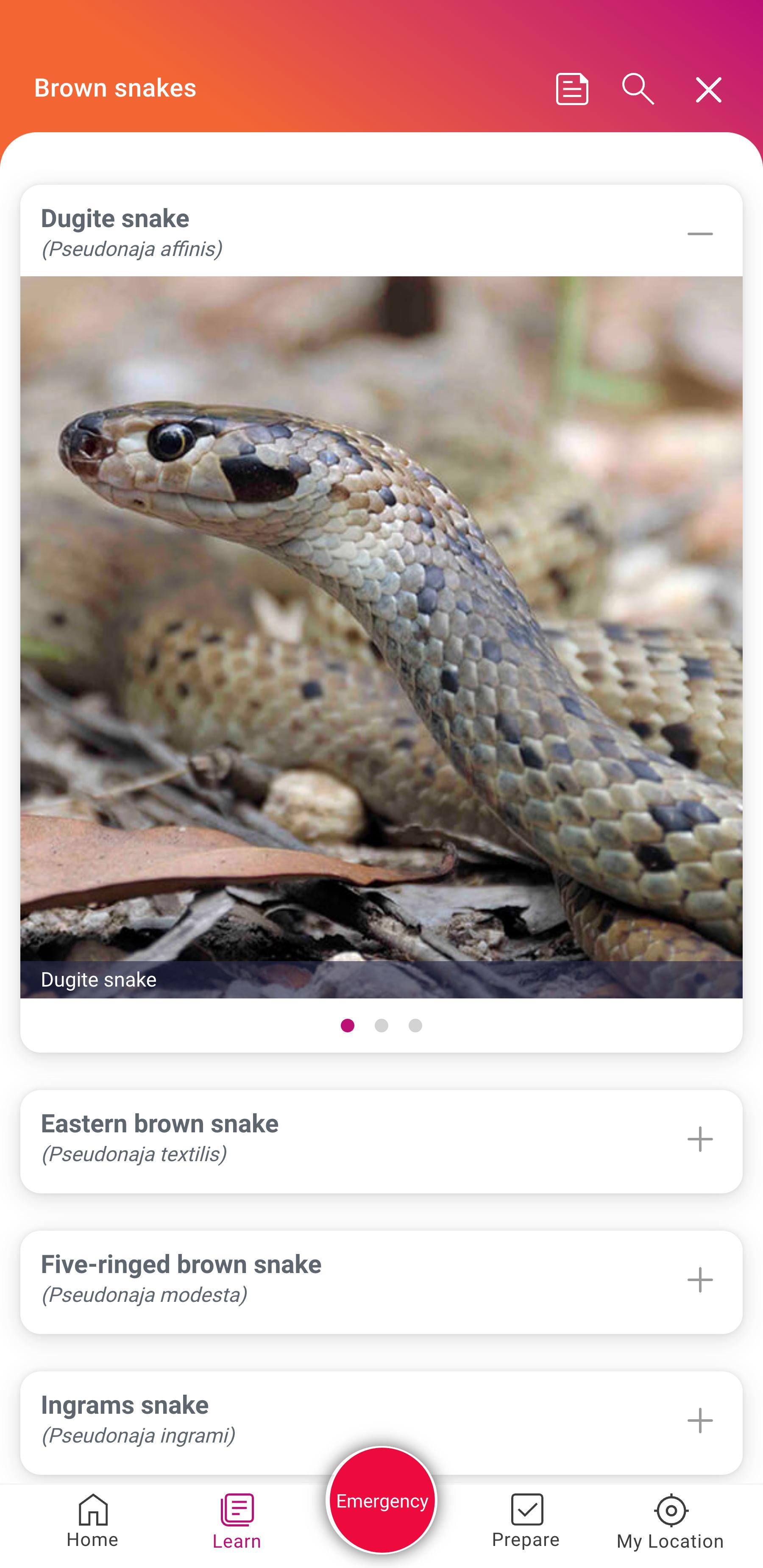 Australian Bites and Stings