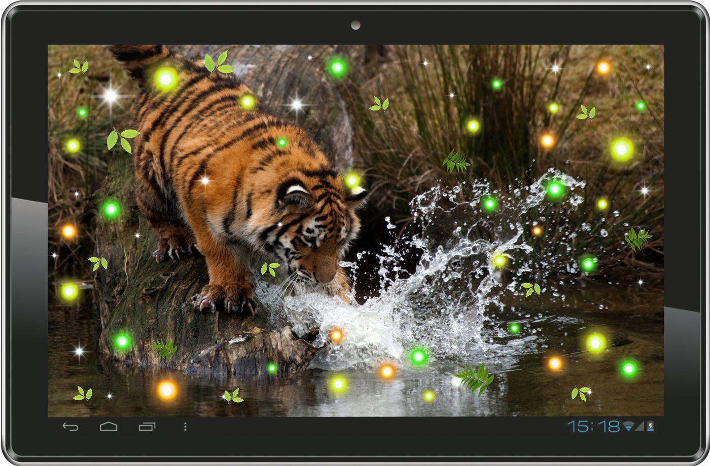 Wild Tigers Hunt HD LWP