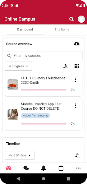 Auguste Escoffier Culinary