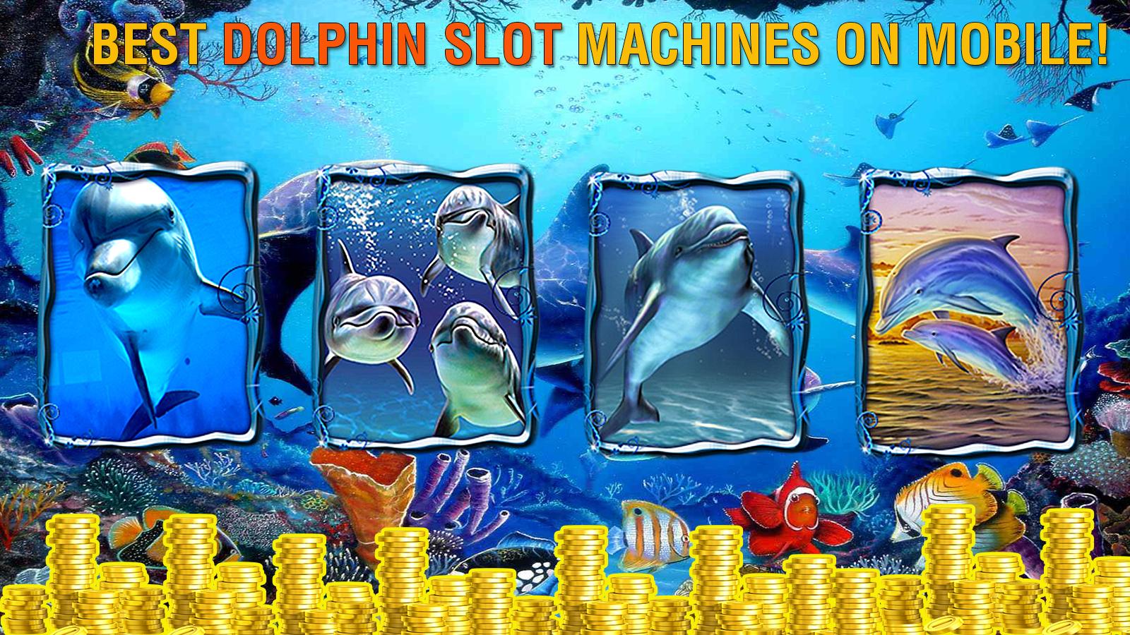 Dolphin Slots: Free Casino