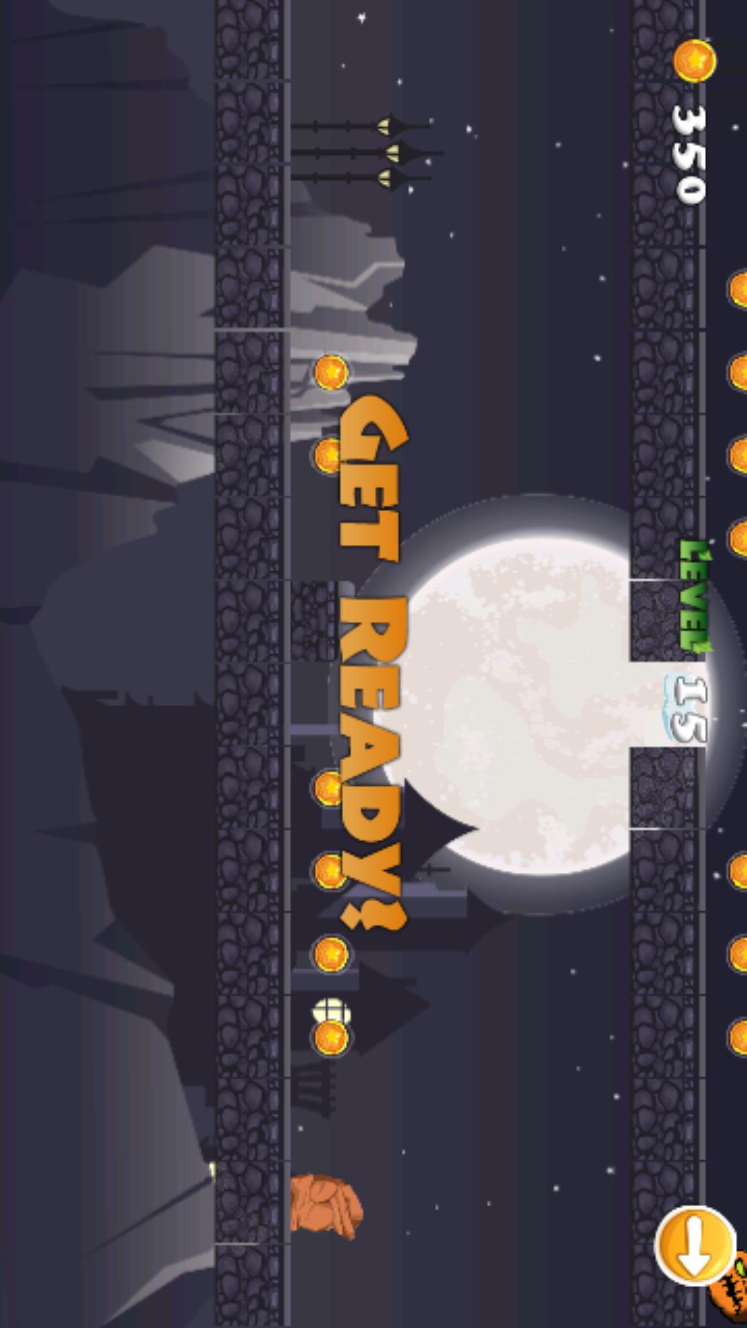 Foxy Little Adventure