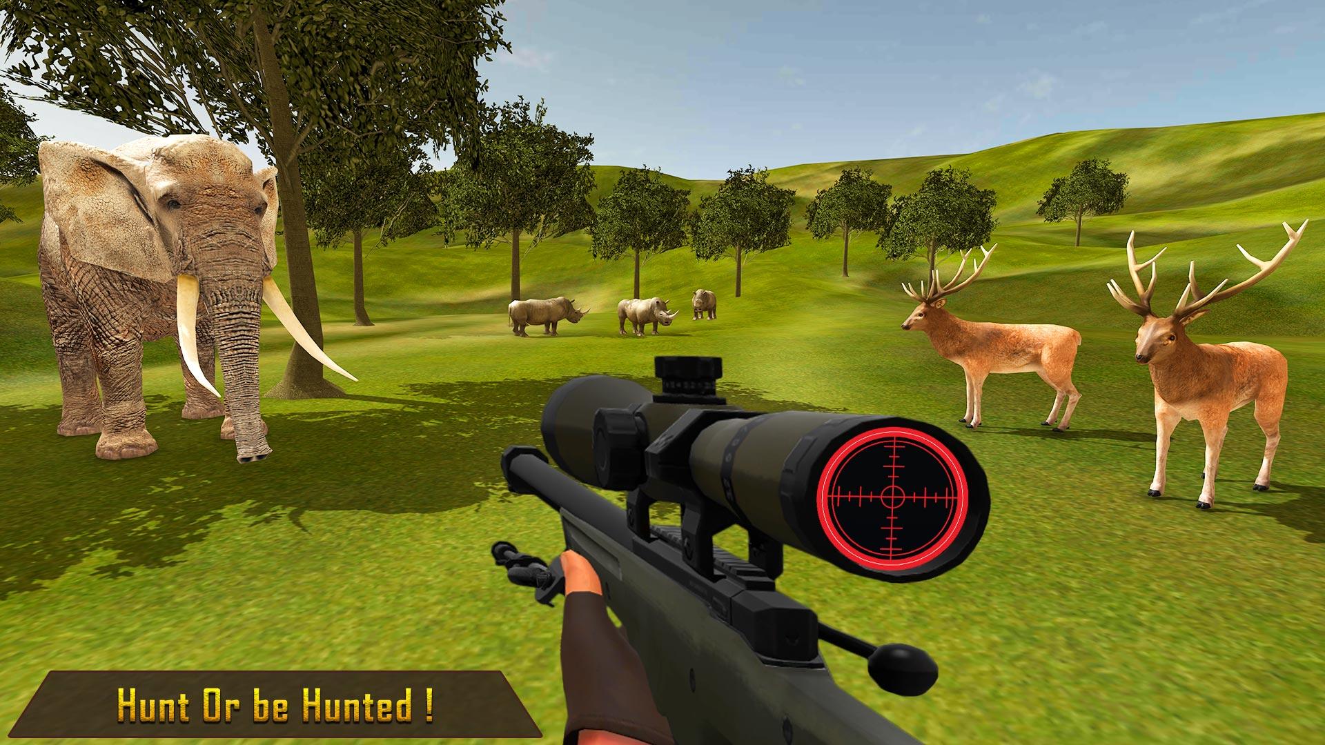 Wild Animal Hunting Games