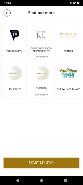 Palladium Hotel Group