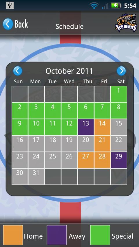 The Knoxville Ice Bears