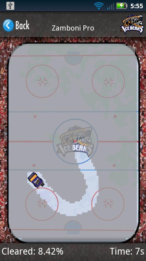 The Knoxville Ice Bears