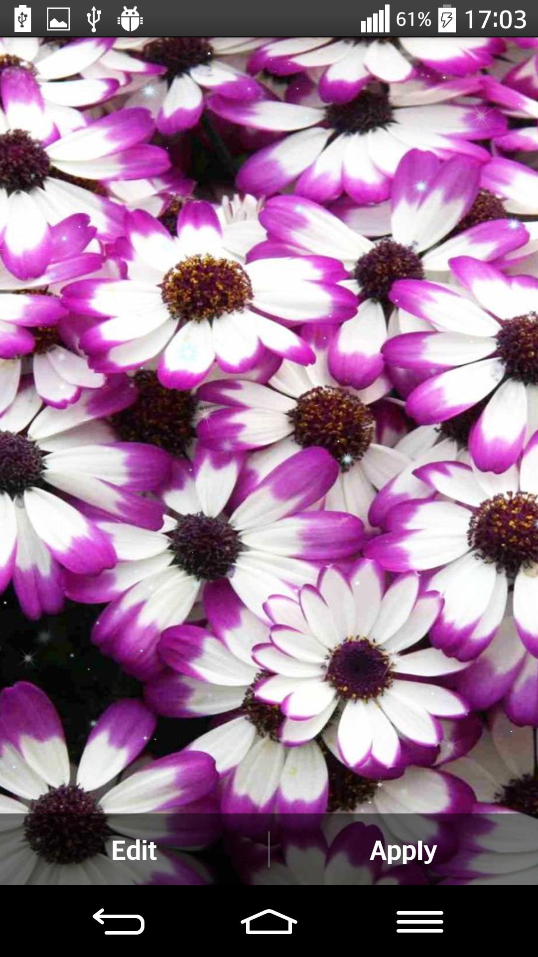 Petals 3D Live Wallpaper