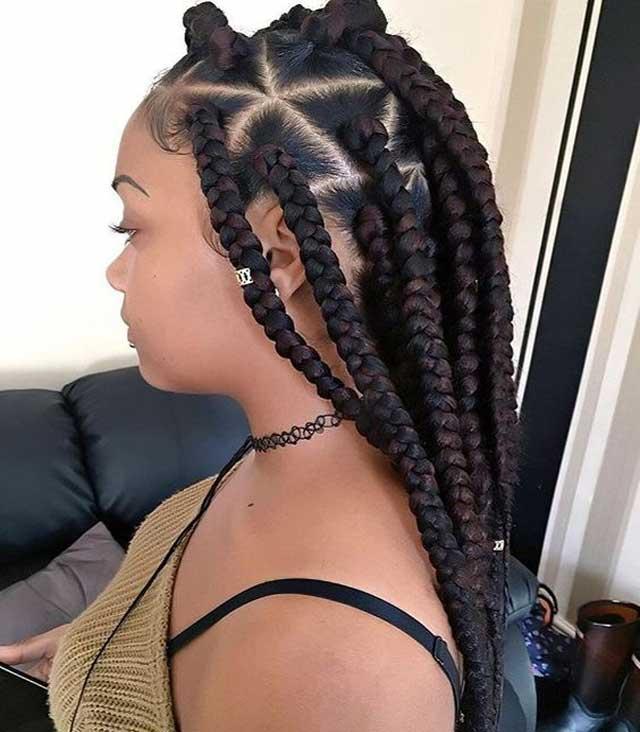 Chic Box Braided Hairstyle