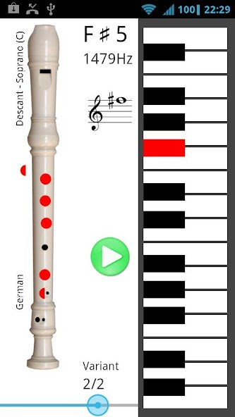 How To Play Recorder