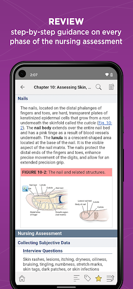 Nurses' Health Assessment