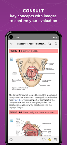 Nurses' Health Assessment