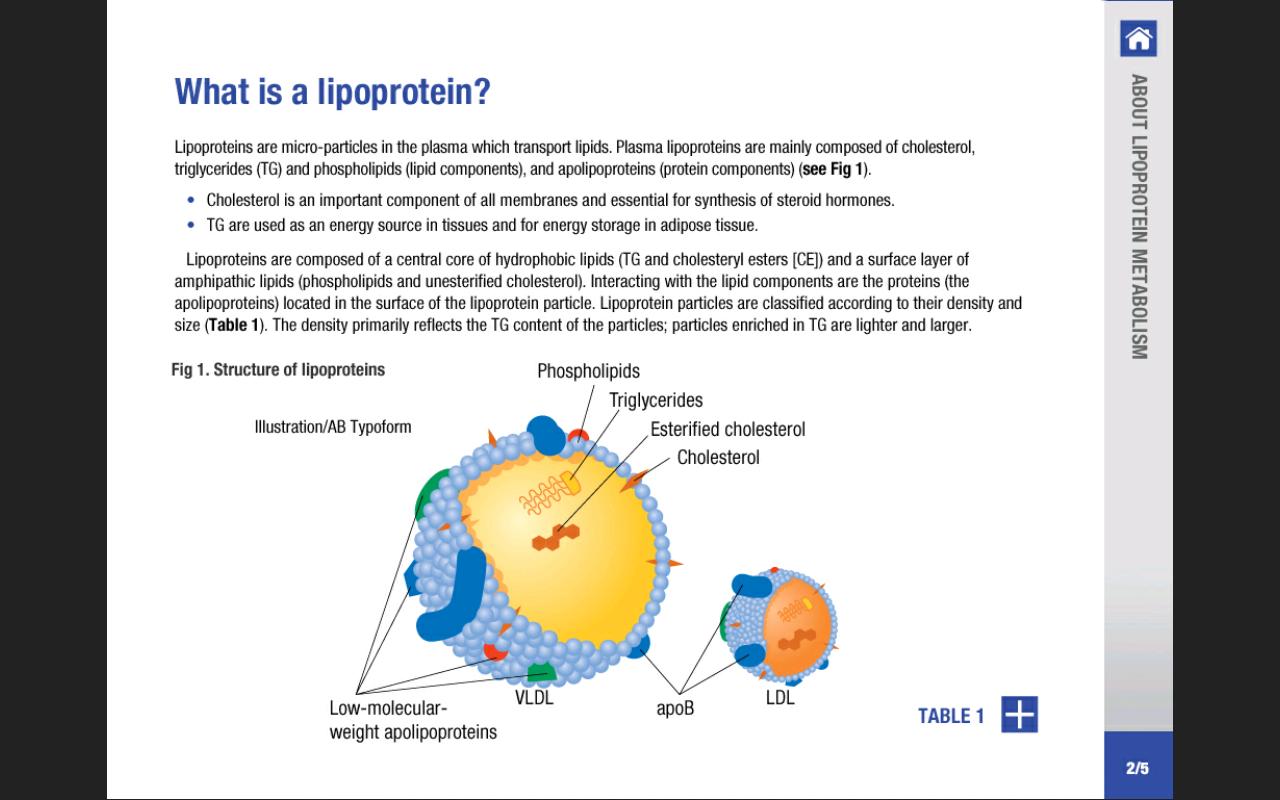 Lipids and Atherosclerosis