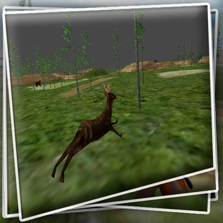 Hunting Game Online