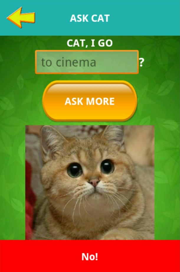 Ask cat helper simulator