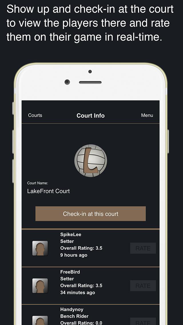 League For Volleyball