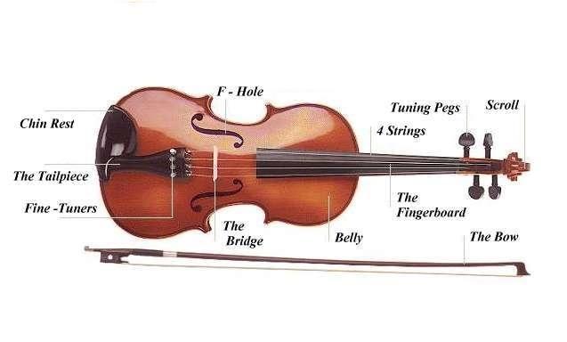 Violin Lessons