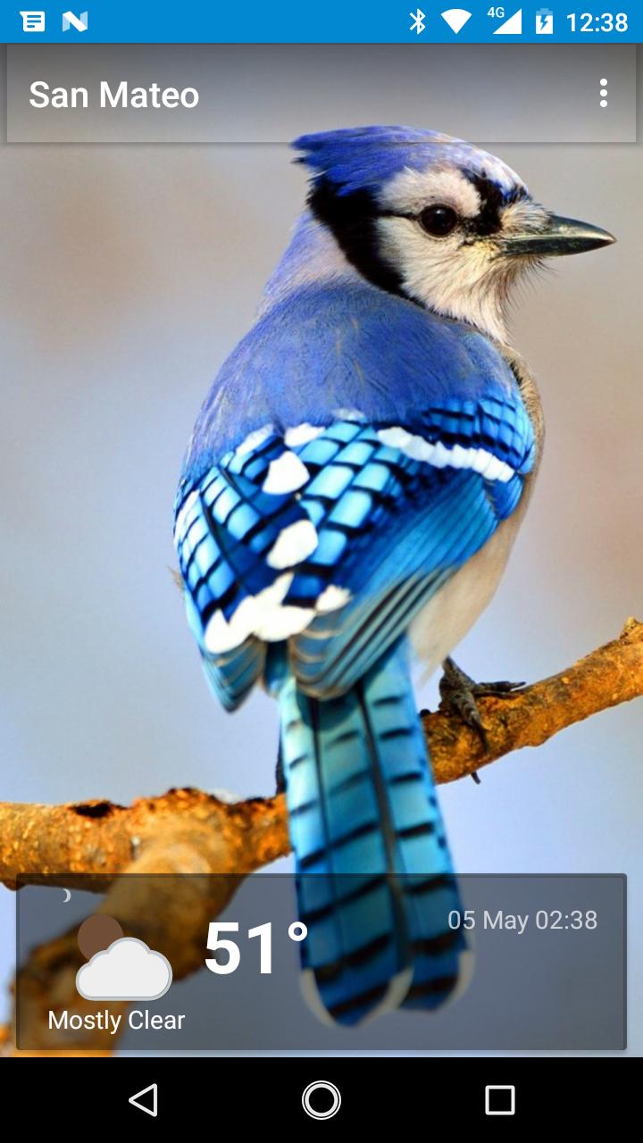 San Mateo, CA - weather and more