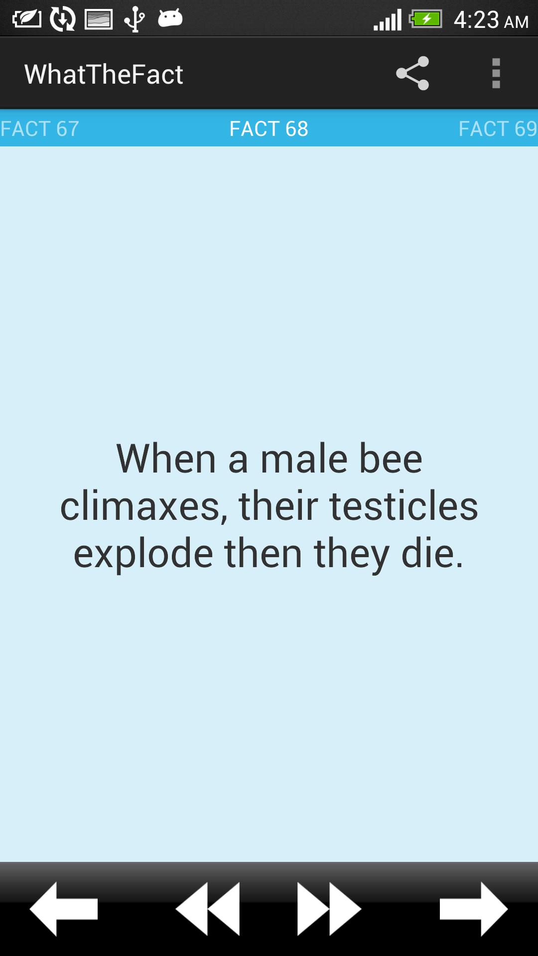 WhatTheFact?!  (Facts)