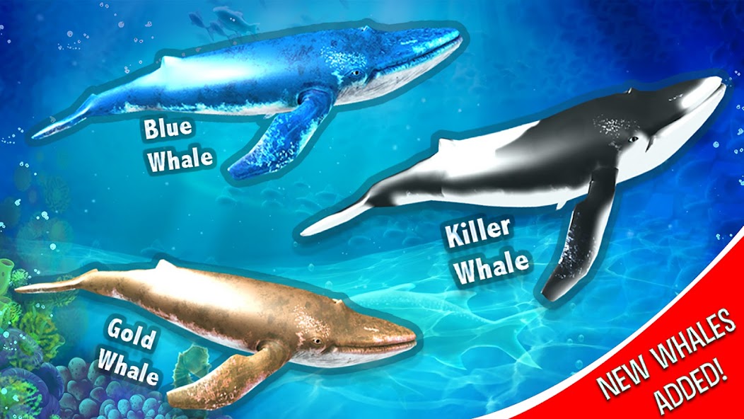 Blue Whale Simulator