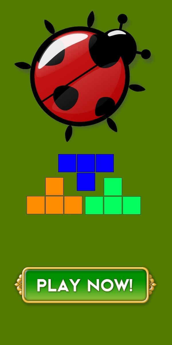 Block Puzzle Miraculous