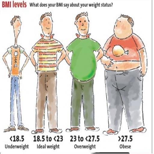 BMI & Calories